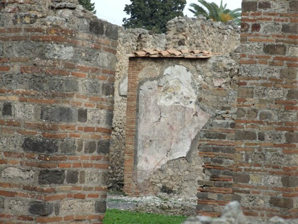 VI.8.20 Pompeii. December 2007. Remains of painted plaster on east wall of peristyle.