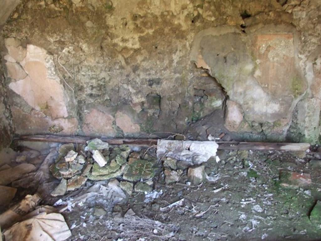 VI.8.20 Pompeii. March 2009. Room 19. North wall.