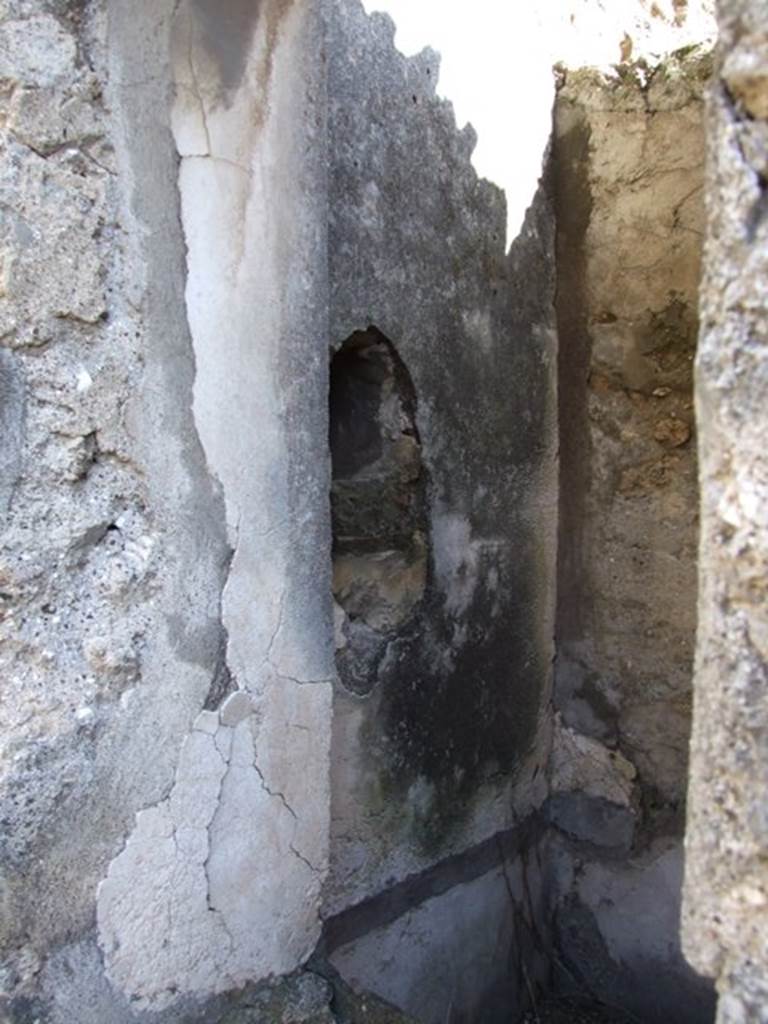 VI.8.20 Pompeii.  March 2009.  Room 2.  East wall,  with niche?.