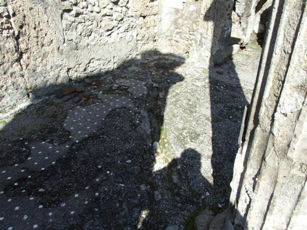 VI.8.21. Pompeii. March 2009. Atrium. Remains of floor.