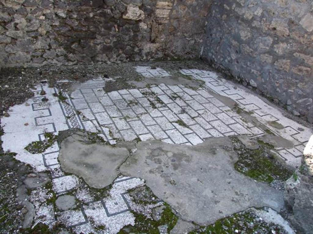VI.8.21. Pompeii. March 2009. Tablinum mosaic floor.