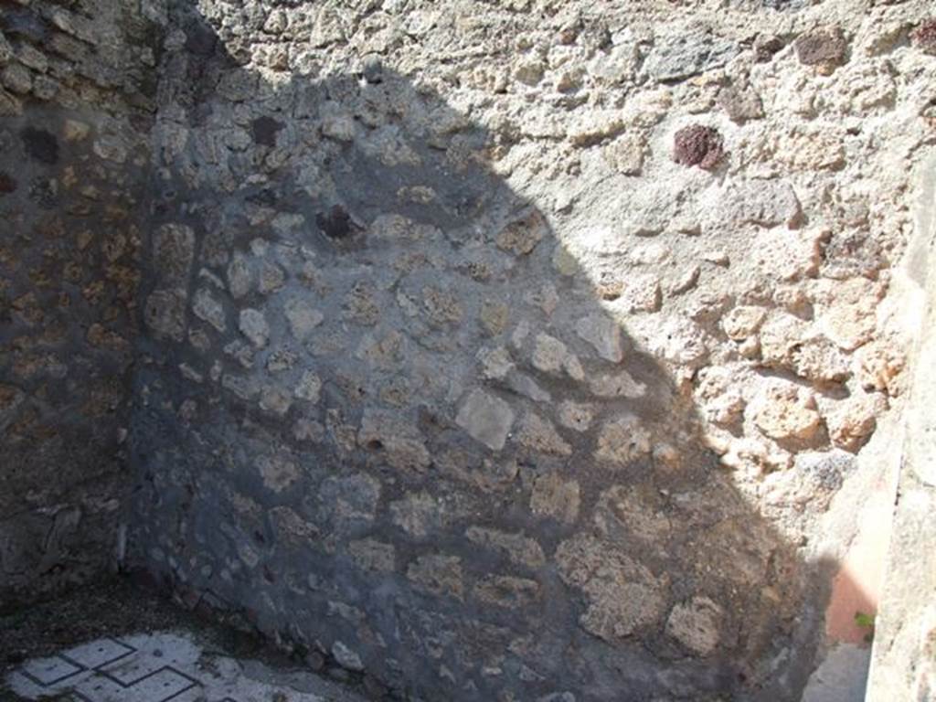 VI.8.21. Pompeii. March 2009. North wall of tablinum.