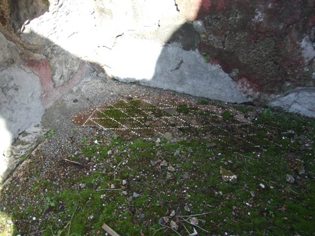 VI.8.21. Pompeii. March 2009. Cubiculum. Floor.
