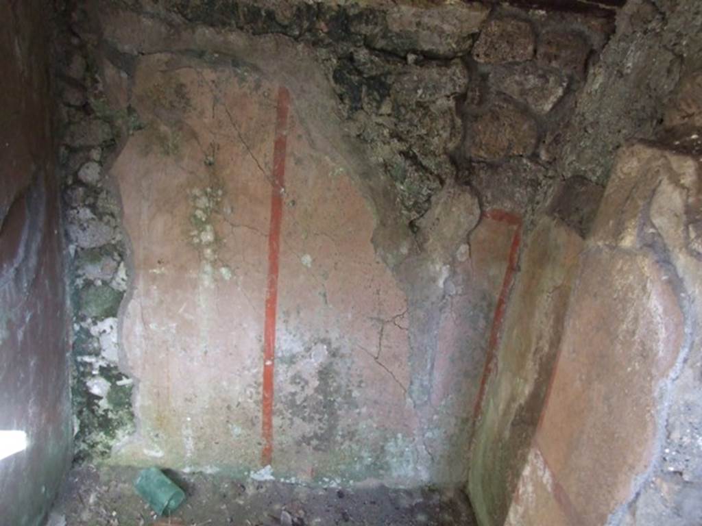 VI.8.22 Pompeii. March 2009. Room 6. Painted plaster in area under stairs. East wall.
