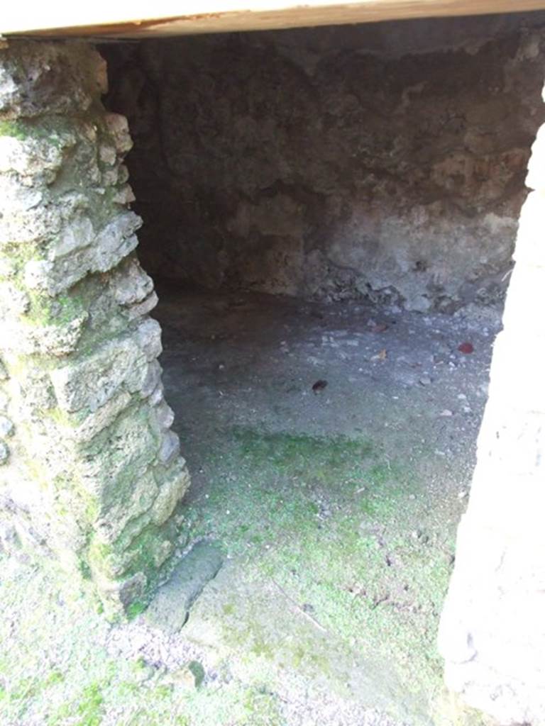 VI.8.22 Pompeii. March 2009. Room 8. Looking south
