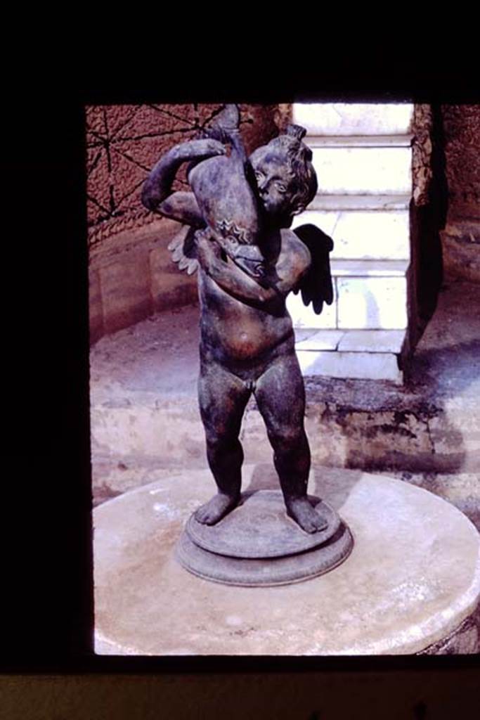 VI.8.22 Pompeii. 1961. Bronze statuette of a cupid holding a dolphin (0.56m high) shown in the photo on display in the fountain at VI.8.22. Now in Naples Archaeological Museum, inventory number 111701: Ruesch no 818. Photo by Stanley A. Jashemski.
Source: The Wilhelmina and Stanley A. Jashemski archive in the University of Maryland Library, Special Collections (See collection page) and made available under the Creative Commons Attribution-Non Commercial License v.4. See Licence and use details.
J61f0719
According to Wilhelmina, this bronze statuette is a replica of one found in the garden of IX.7.20, and displayed here. It was one of the finest found in the Vesuvian area.
See Jashemski, W. F., 1993. The Gardens of Pompeii, Volume II: Appendices. New York: Caratzas. (p.135 and p.240)