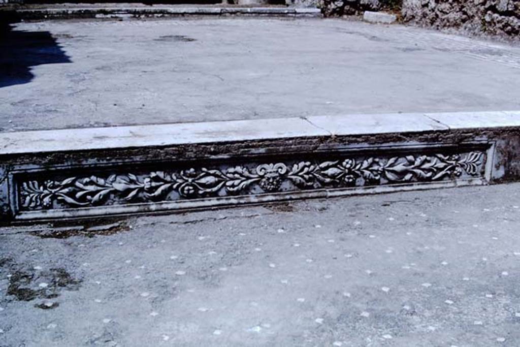 VI.8.23 Pompeii. 1966. Decorative panelled step from atrium to tablinum. Photo by Stanley A. Jashemski.
Source: The Wilhelmina and Stanley A. Jashemski archive in the University of Maryland Library, Special Collections (See collection page) and made available under the Creative Commons Attribution-Non Commercial License v.4. See Licence and use details.
J66f0387