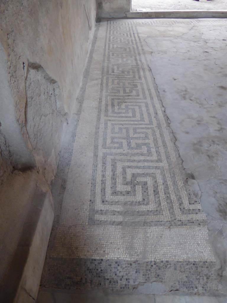 VI.8.23 Pompeii. September 2017. Mosaic floor on south side of tablinum, looking west.
Foto Annette Haug, ERC Grant 681269 DÉCOR.