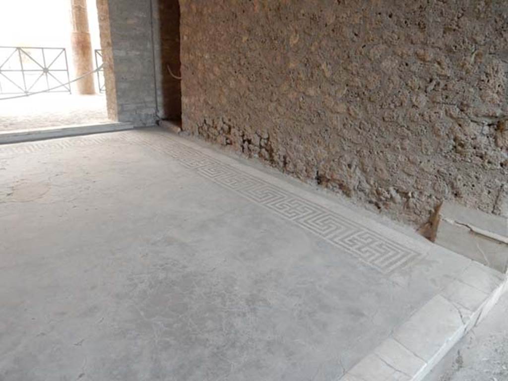 VI.8.23 Pompeii. May 2017. Mosaic floor in tablinum on north side, looking west.
Photo courtesy of Buzz Ferebee.