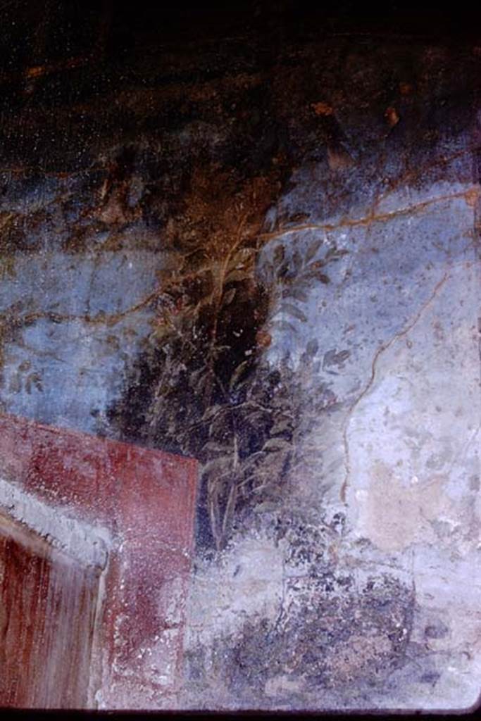 VI.8.23 Pompeii. 1966. Painted plant on wall behind north end of fountain. Photo by Stanley A. Jashemski.
Source: The Wilhelmina and Stanley A. Jashemski archive in the University of Maryland Library, Special Collections (See collection page) and made available under the Creative Commons Attribution-Non Commercial License v.4. See Licence and use details.
J66f0676