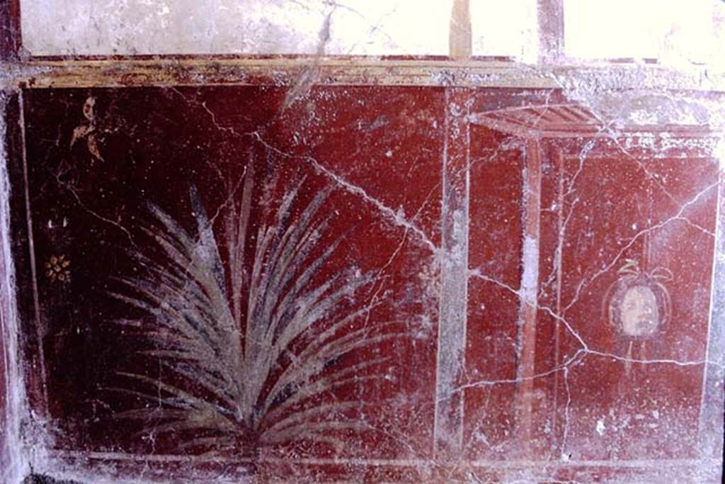 VI.8.24 Pompeii, 1968. Triclinium in south-east corner of atrium. Painted plant and mask from red zoccolo at the south end of west wall. Photo by Stanley A. Jashemski.
Source: The Wilhelmina and Stanley A. Jashemski archive in the University of Maryland Library, Special Collections (See collection page) and made available under the Creative Commons Attribution-Non-Commercial License v.4. See Licence and use details. J68f0733