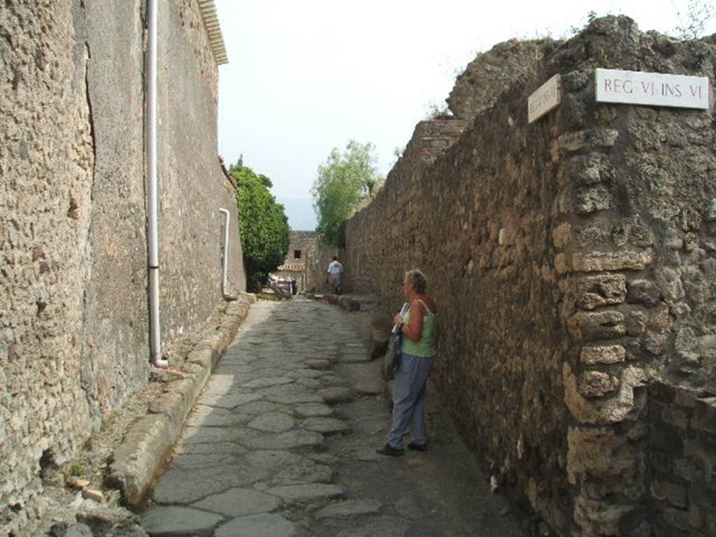 VI.8.24 (Rear wall) Vicolo della Fullonica looking south VI.6