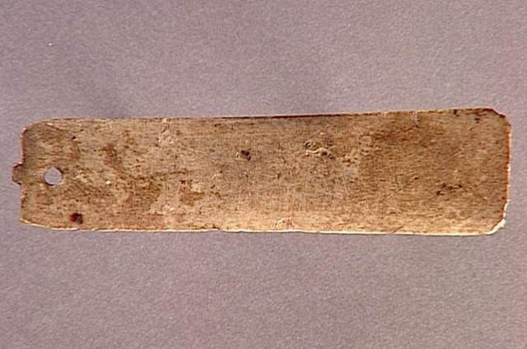 VI.9.1 Plaquette. Length 0.014m. OA 1868 Plaquette, musée Condé, photo RMN © R.G. Ojeda