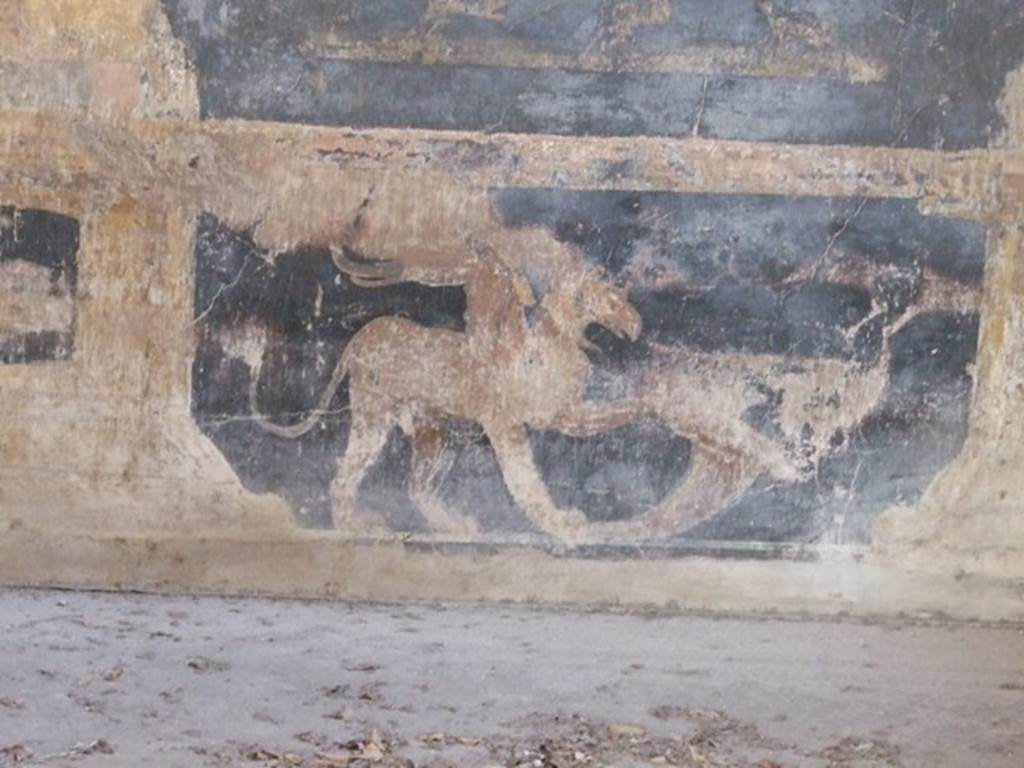 VI.9.2 Pompeii. December 2007. Room 27. Painting of griffin.