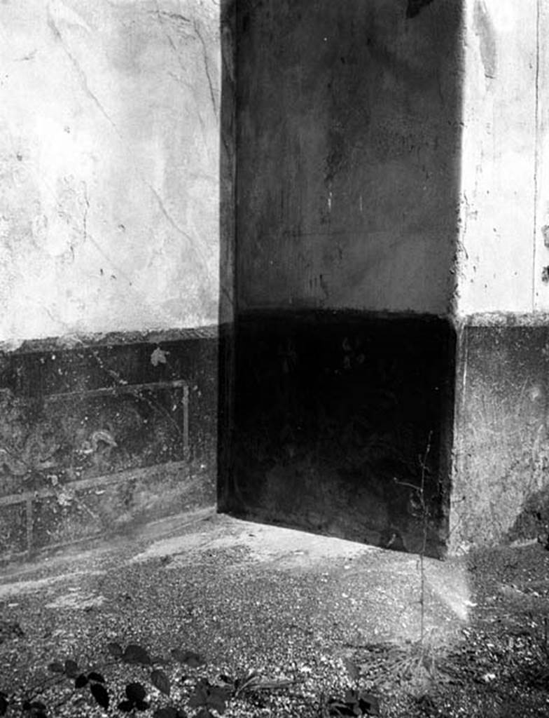 231739 Bestand-D-DAI-ROM-W.547.jpg
VI.9.2 Pompeii. W.547. Peristyle 16, north wall in north-east corner near room 28, remains of wall painting on dado.
Photo by Tatiana Warscher. With kind permission of DAI Rome, whose copyright it remains.
See http://arachne.uni-koeln.de/item/marbilderbestand/231739
