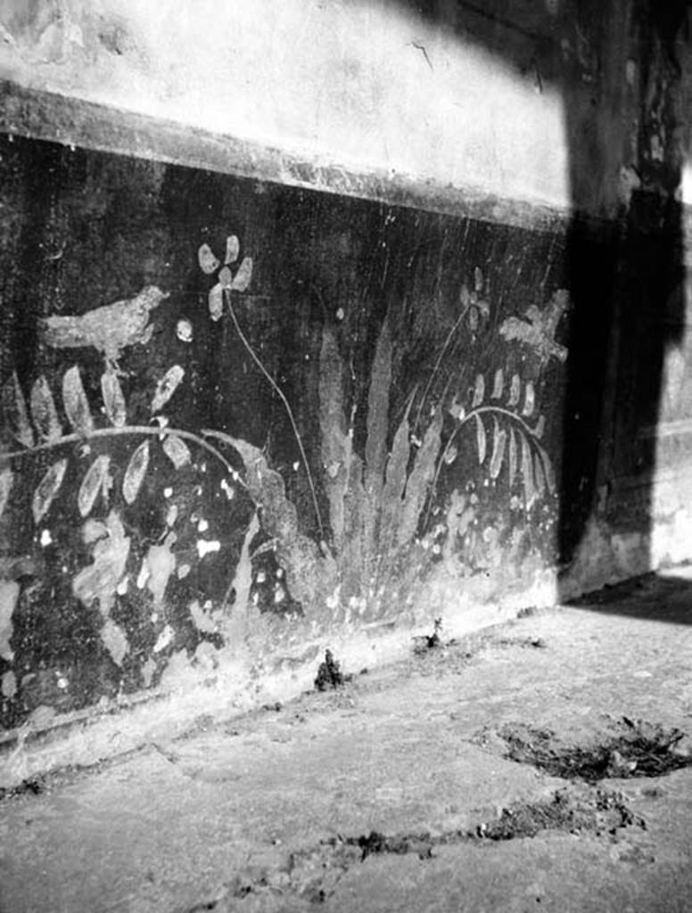 231006 Bestand-D-DAI-ROM-W.562.jpg
VI.9.2 Pompeii. W.562. Peristyle 16, north wall dado with plants and birds.
Photo by Tatiana Warscher. With kind permission of DAI Rome, whose copyright it remains.
See http://arachne.uni-koeln.de/item/marbilderbestand/231006