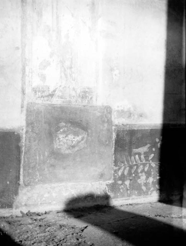 231008 Bestand-D-DAI-ROM-W.566.jpg
VI.9.2 Pompeii. W.566. Peristyle 16, dado from north wall.
Photo by Tatiana Warscher. With kind permission of DAI Rome, whose copyright it remains.
See http://arachne.uni-koeln.de/item/marbilderbestand/231008