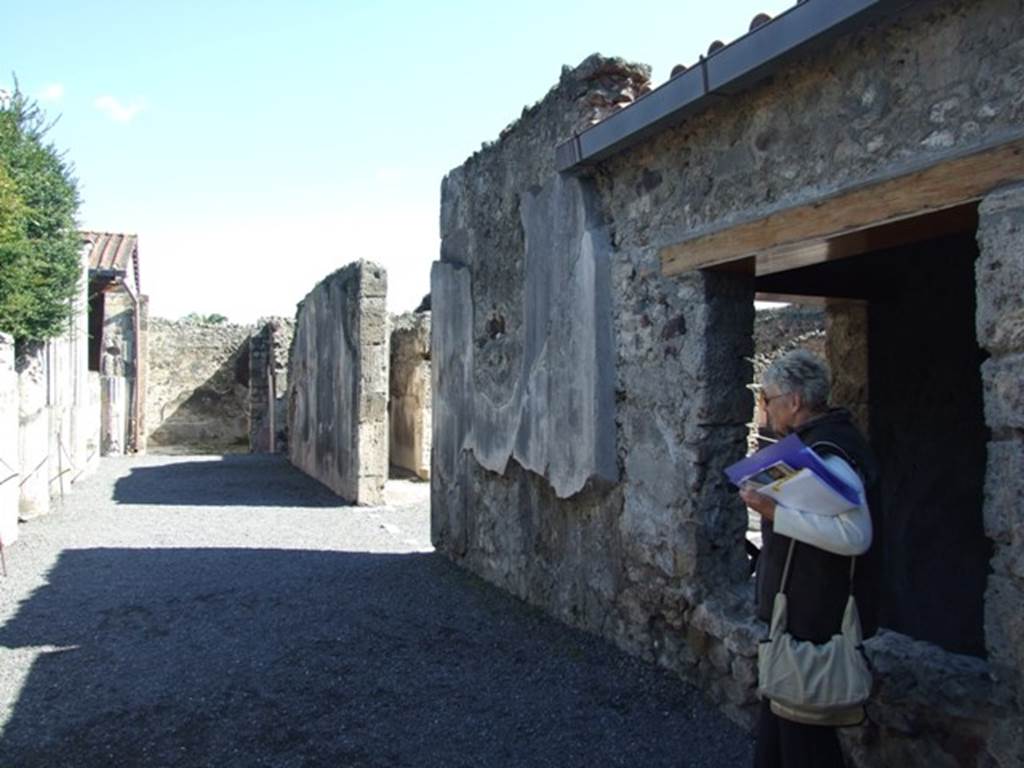 VI.9.2 Pompeii. March 2009. Peristyle 16, south wall. Looking east.