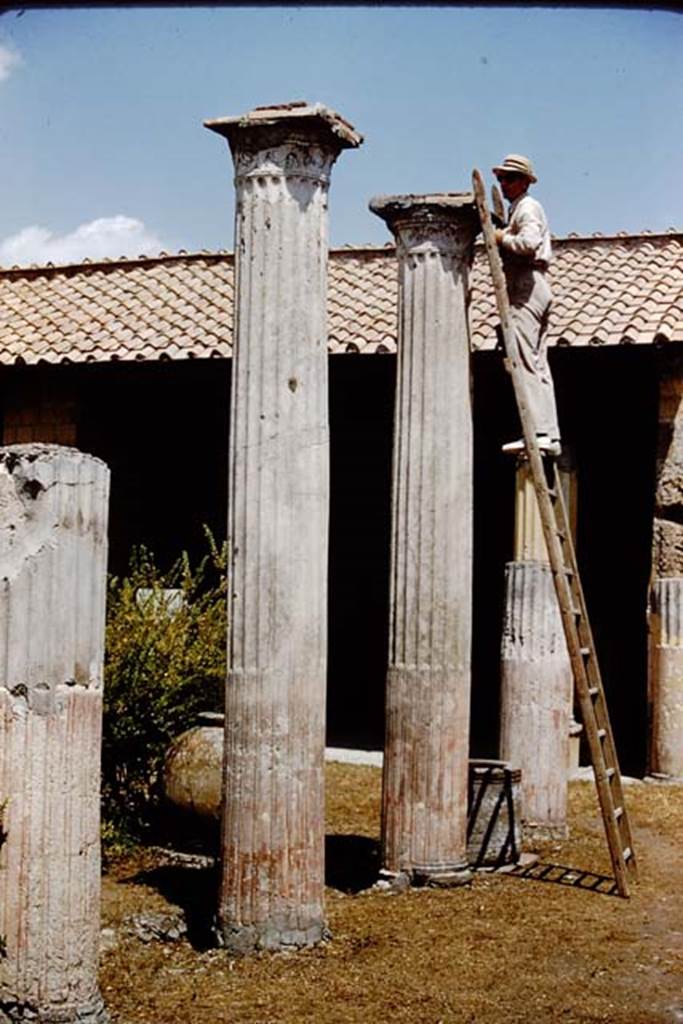 VI.9.2 Pompeii. 1959. Peristyle portico 16, , looking north-east from near south-east corner. Photo by Stanley A. Jashemski.
Source: The Wilhelmina and Stanley A. Jashemski archive in the University of Maryland Library, Special Collections (See collection page) and made available under the Creative Commons Attribution-Non Commercial License v.4. See Licence and use details.
J59f0427