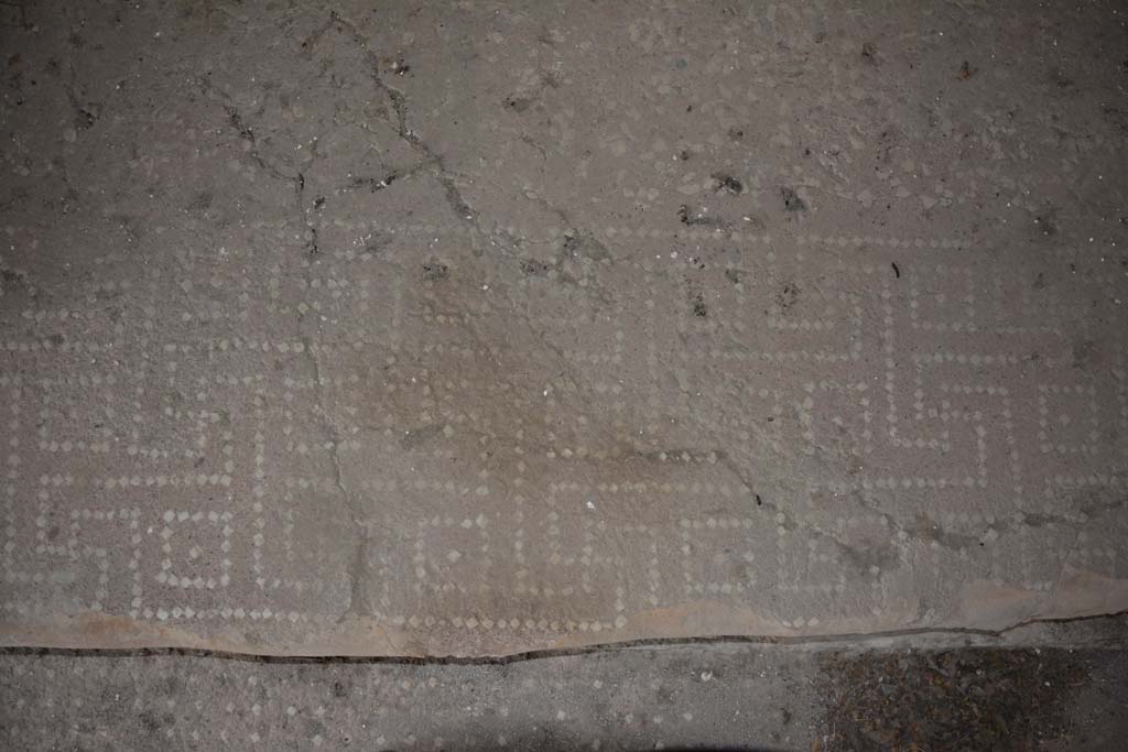 VI.9.3/5 Pompeii. September 2019. Alcove in cubiculum 3, detail of floor decoration on step between alcove and cubiculum.
Foto Annette Haug, ERC Grant 681269 DÉCOR.