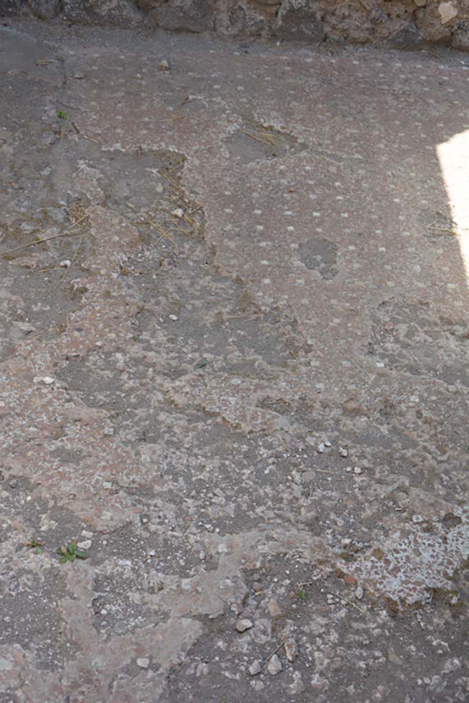 VI.9.4 Pompeii. July 2017. Room 15, detail of flooring.
Foto Annette Haug, ERC Grant 681269 DÉCOR.