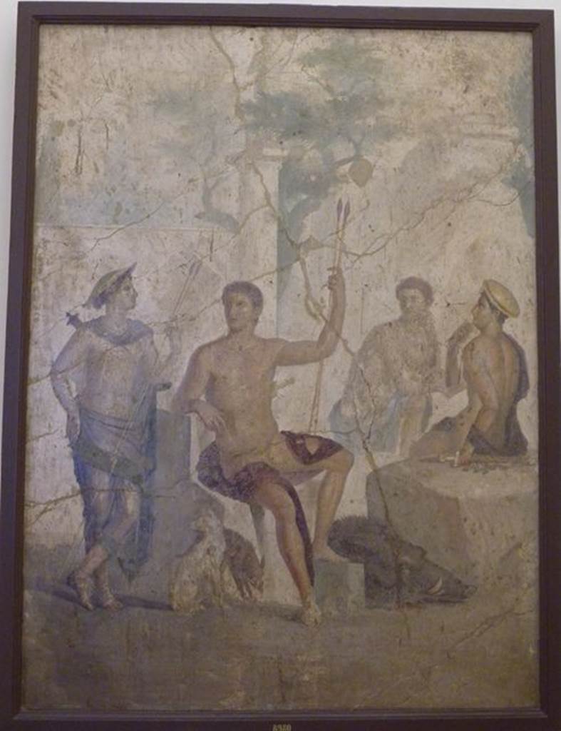 VI.9.5 Pompeii. Found 27th April 1829. Tablinum. North wall. Wall painting of Meleager and Atalanta. At their feet is the head of the killed Calydonian Boar. Now in Naples Archaeological Museum. Inventory number 8980.