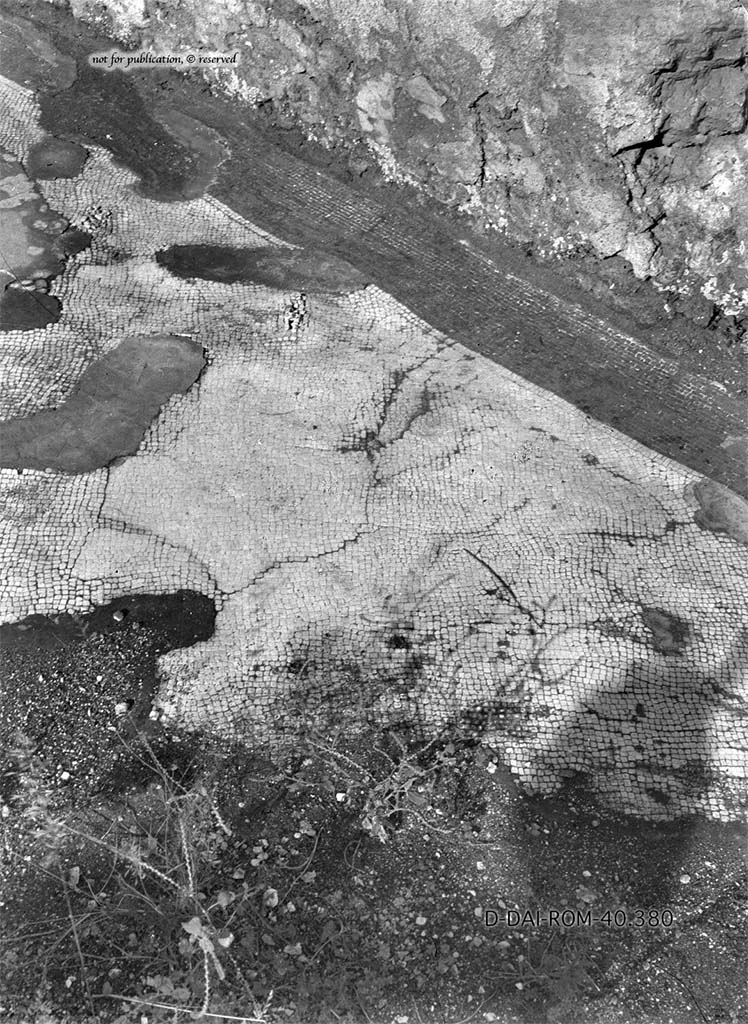 VI.9.5 Pompeii. Triclinium 32. Mosaic floor. Photo by E. Pernice.
DAIR 40.380. Photo © Deutsches Archäologisches Institut, Abteilung Rom, Arkiv.
See Carratelli, G. P., 1990-2003. Pompei: Pitture e Mosaici: Vol. IV. Roma: Istituto della enciclopedia italiana, p. 859.