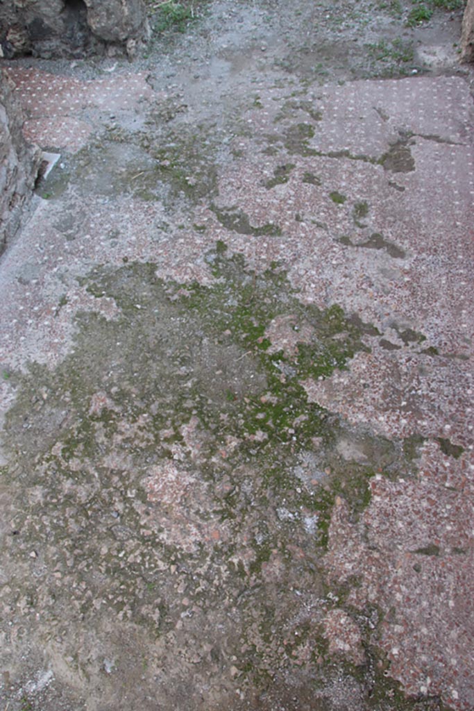 VI.9.5 Pompeii. October 2022.
Room 14, detail of flooring in entrance corridor, looking east. Photo courtesy of Klaus Heese.