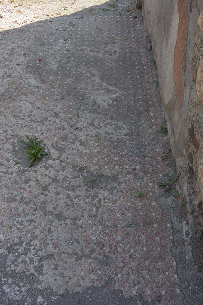 VI.9.5 Pompeii. July 2017. Room 14, detail of flooring on south side.
Foto Annette Haug, ERC Grant 681269 DÉCOR.