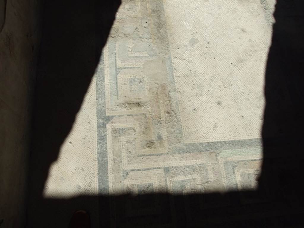 VI.9.6 Pompeii. March 2009. Room 12. Coloured mosaic floor.