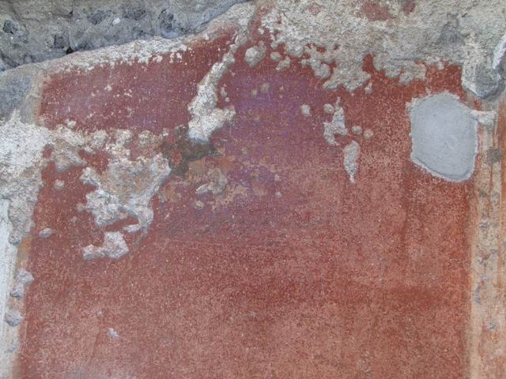 VI.9.6 Pompeii. March 2009. Room 12. North wall.