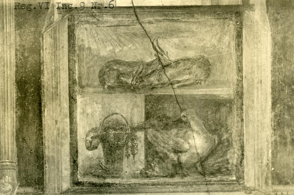 VI.9.6 Pompeii. Pre-1937-39.
Room 6, from north wall of peristyle on west side of doorway, wall painting of two deer, a basket with garlands and a goose.
Photo courtesy of American Academy in Rome, Photographic Archive. Warsher collection no. 1671.