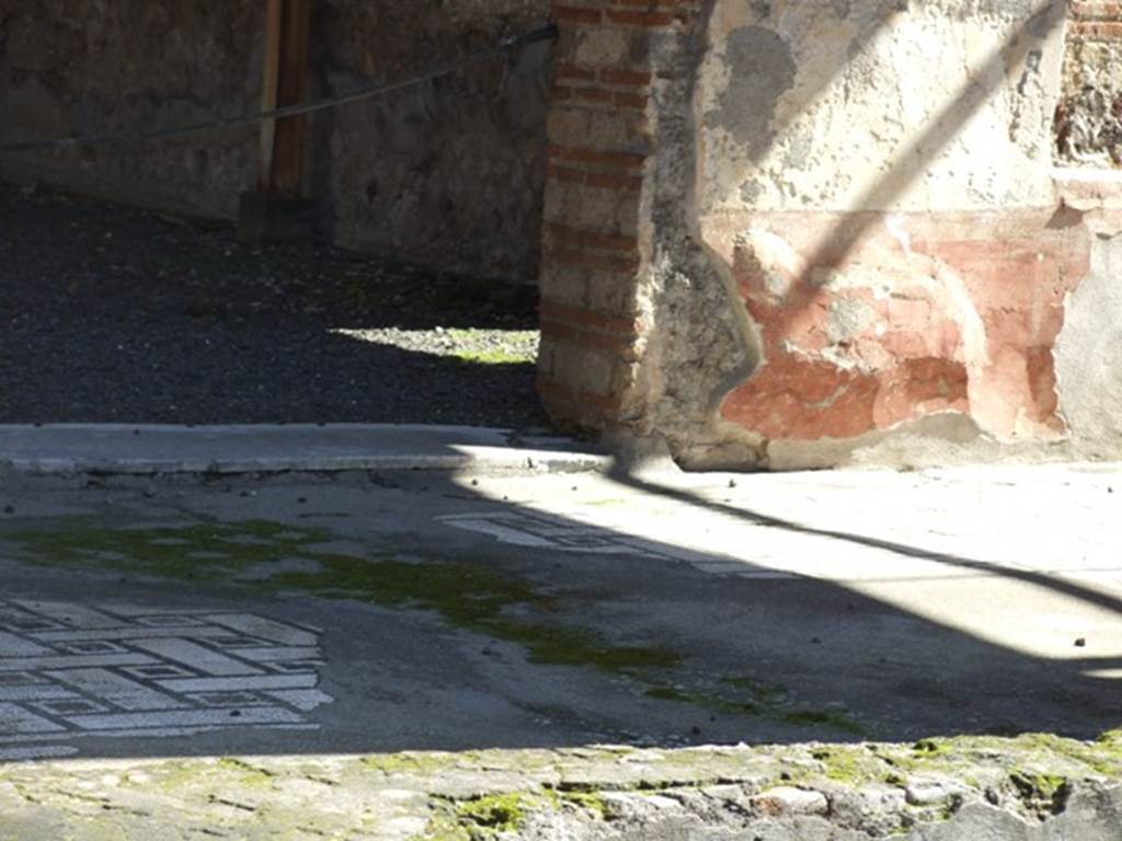 VI.9.6 Pompeii. March 2009. Room 6, mosaic floor at east end of peristyle.