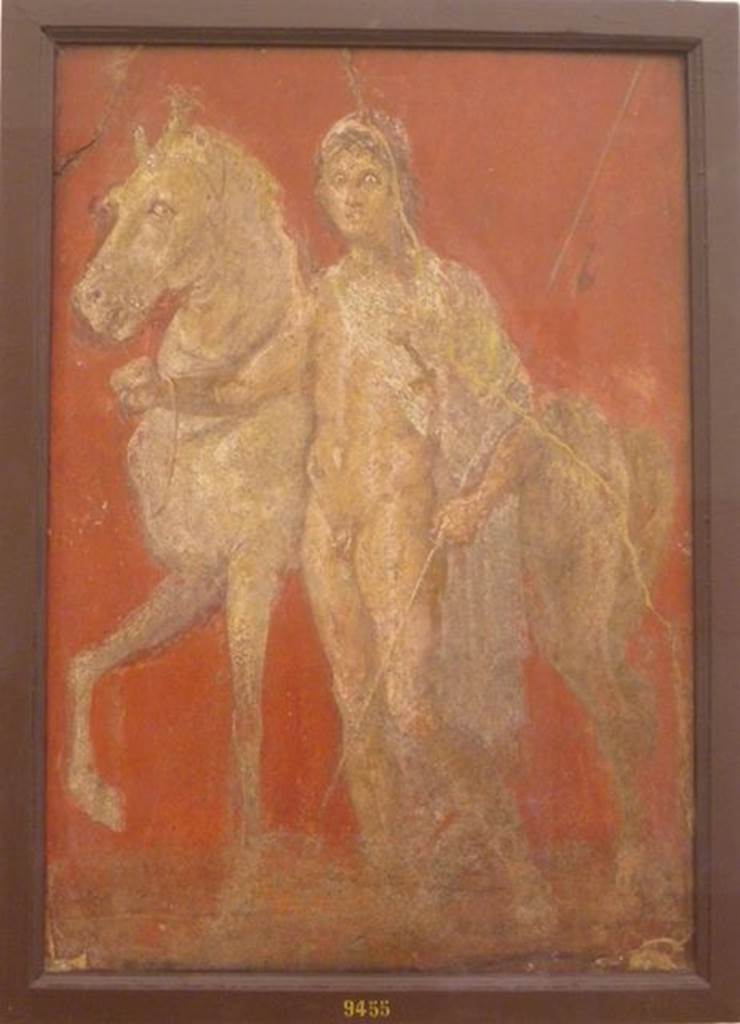 VI.9.6 Pompeii. Found 18th June 1828 in room 1, the fauces of entrance corridor. Wall painting of one of the two Dioscuri. Now in Naples Archaeological Museum. Inventory number 9455.