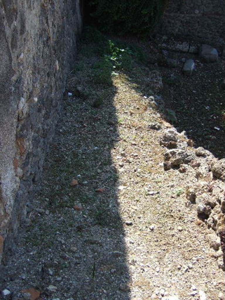 VI.9.10 Pompeii. September 2005. Entrance corridor.