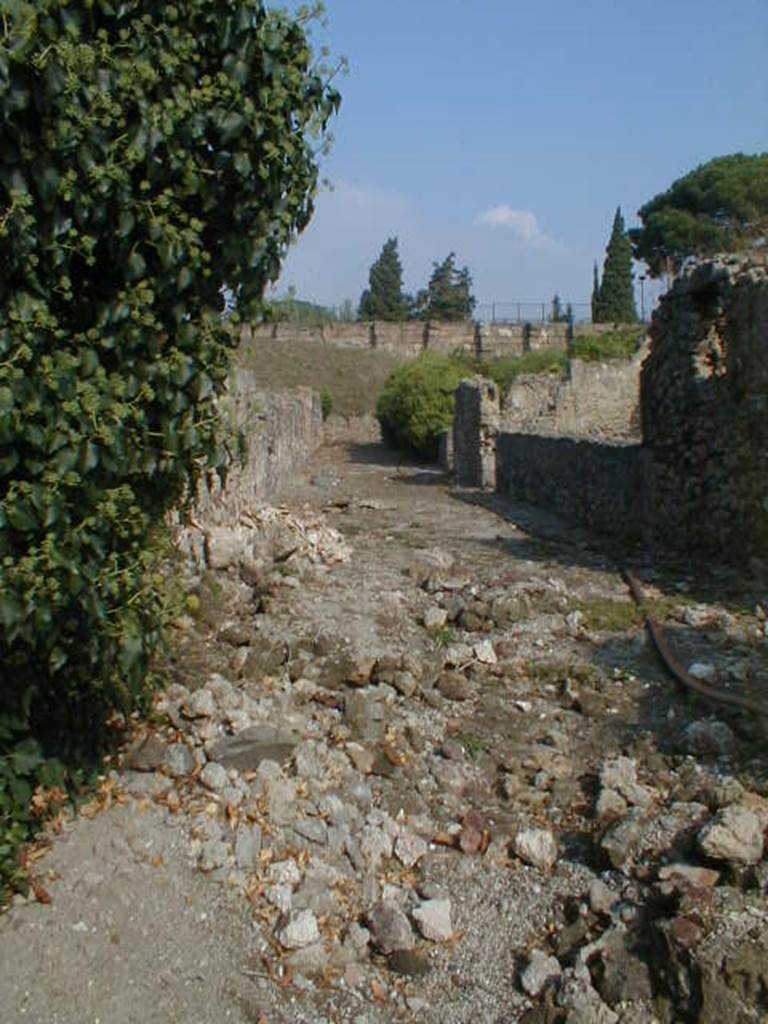 VI.9.12 September 2005. Vicolo del Fauno looking north from rear of VI.9.3 with VI.11 (on right).