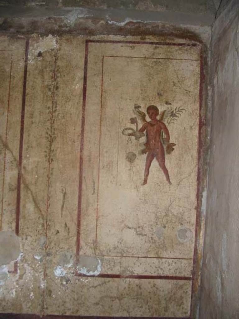 VI.10.1 Pompeii. May 2003. Flying cupid from north wall in north-east corner. Photo courtesy of Nicolas Monteix.