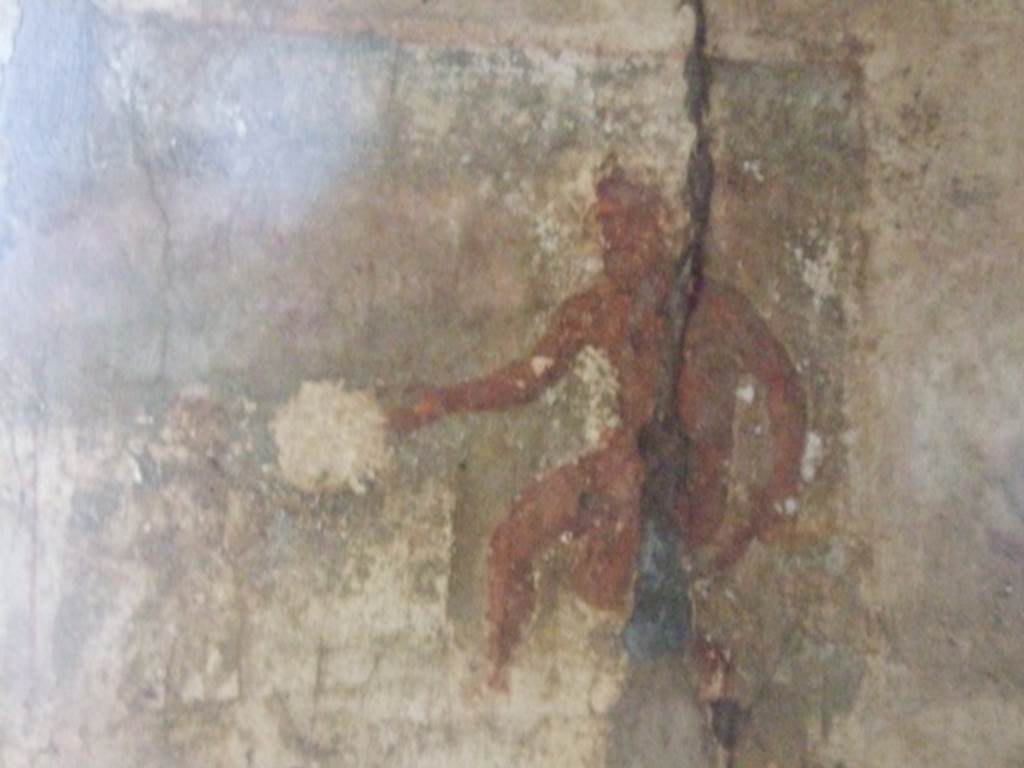 VI.10.1 Pompeii. March 2009. Rear room on south side. South wall. Wall painting of Polyphemus watching Galatea on a dolphin.