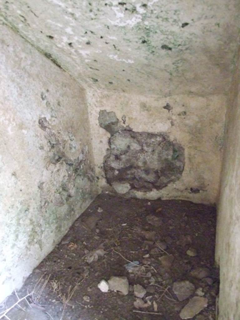 VI.10.6 Pompeii. March 2009. Room 8. Recess under stairs.
