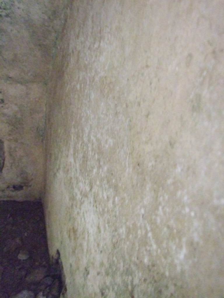 VI.10.6 Pompeii. March 2009. Room 8. Recess under stairs.