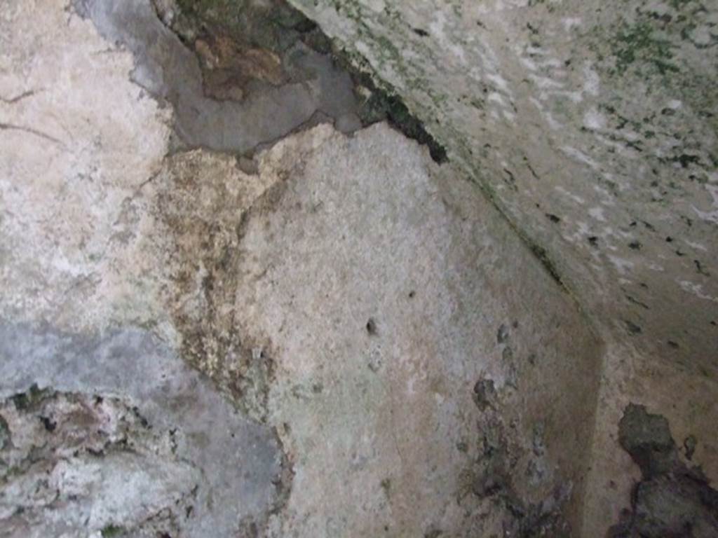 VI.10.6 Pompeii. March 2009. Room 8. Recess under stairs.