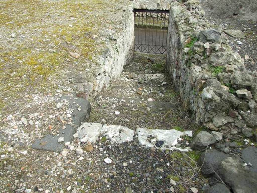 VI.10.6 Pompeii. March 2009. Room 15, rear garden area with staircase, leading to rear entrance at VI.10.17. According to Jashemski, these steps lead to the posticum at VI.10.17, and the cellar area. She thought that the oil press found in the atrium was probably to be installed in the cellar area.