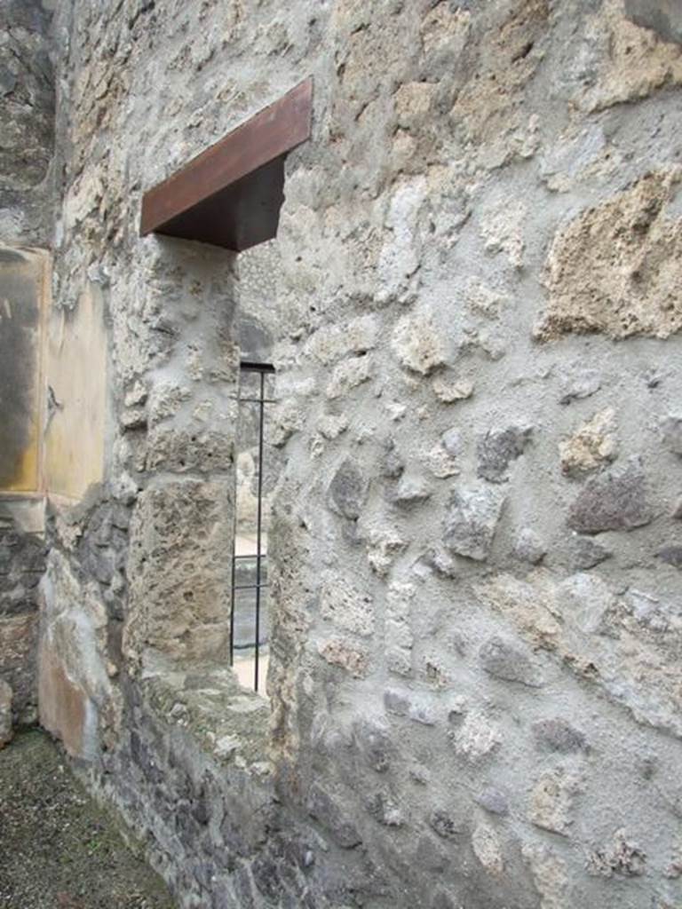VI.10.6 Pompeii.  March 2009.  Room 6.  North wall.