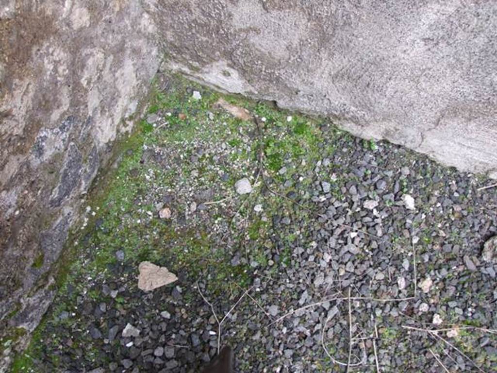 VI.10.7 Pompeii. March 2009. Room 3, floor in north-west corner.