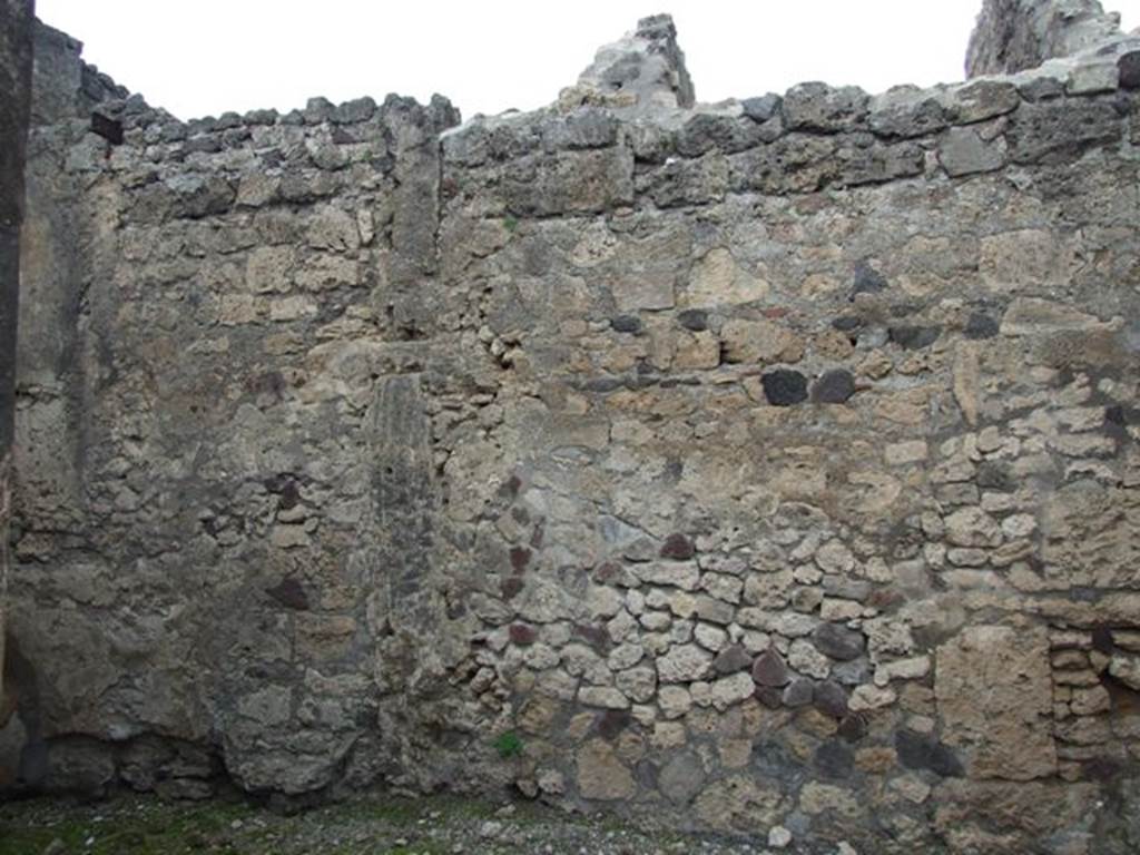 VI.10.7 Pompeii. March 2009. Room 4. North wall.