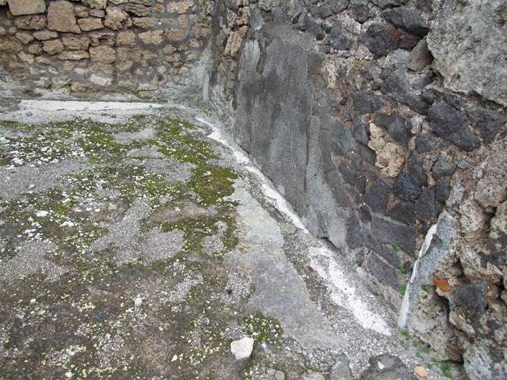 VI.10.7 Pompeii. March 2009. Room 5. East wall.