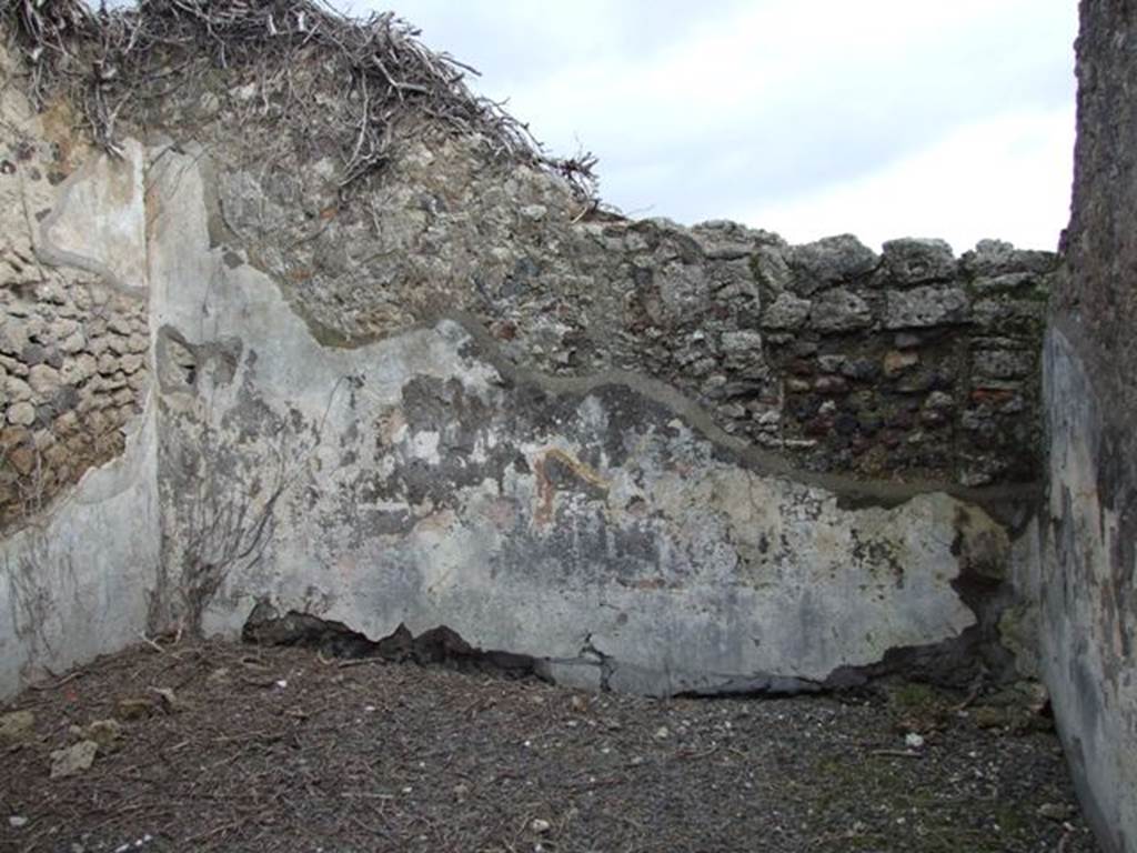 VI.10.7 Pompeii. March 2009. Room 7. Room to north of Tablinum. East wall.