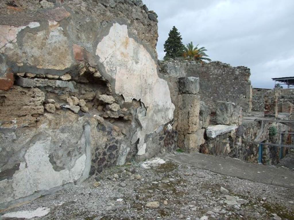 VI.10.7 Pompeii. March 2009. Room 8. Tablinum. North wall.