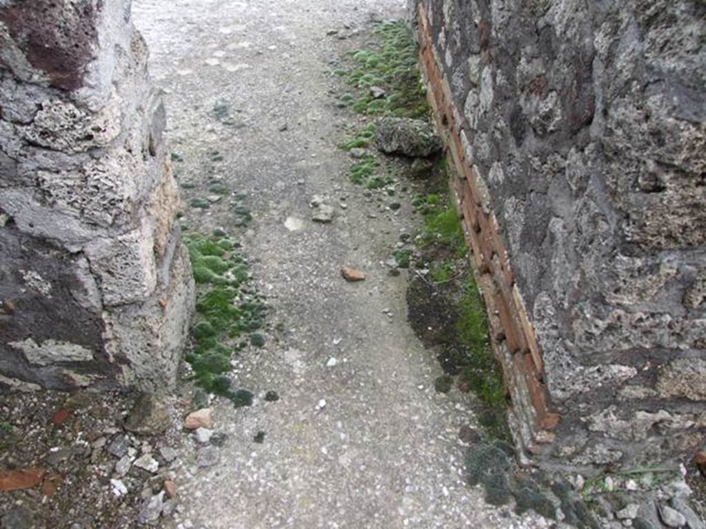 VI.10.7 Pompeii. March 2009. Room 12. Portico level.