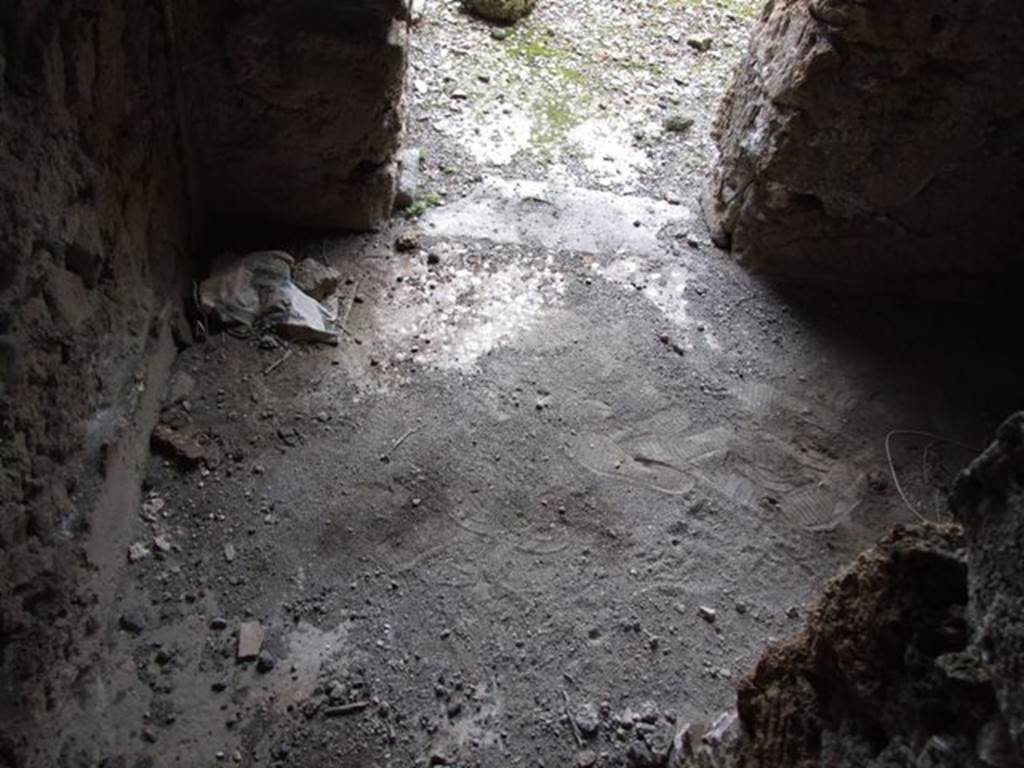 VI.10.7 Pompeii. March 2009. Room 13. Floor.